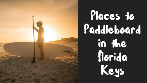 Best Paddle Board Places Key West